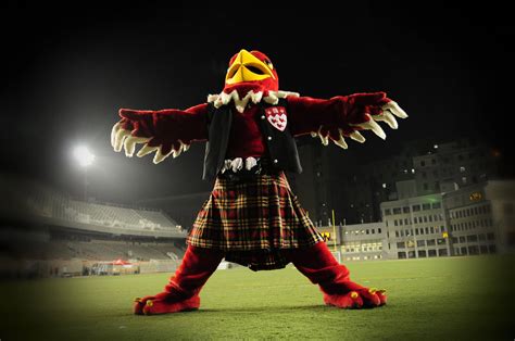 The Cultural Significance of McGill's Mascot: Marty the Martlet